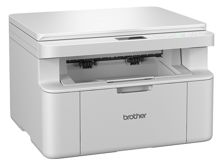 Brother DCPL1630W